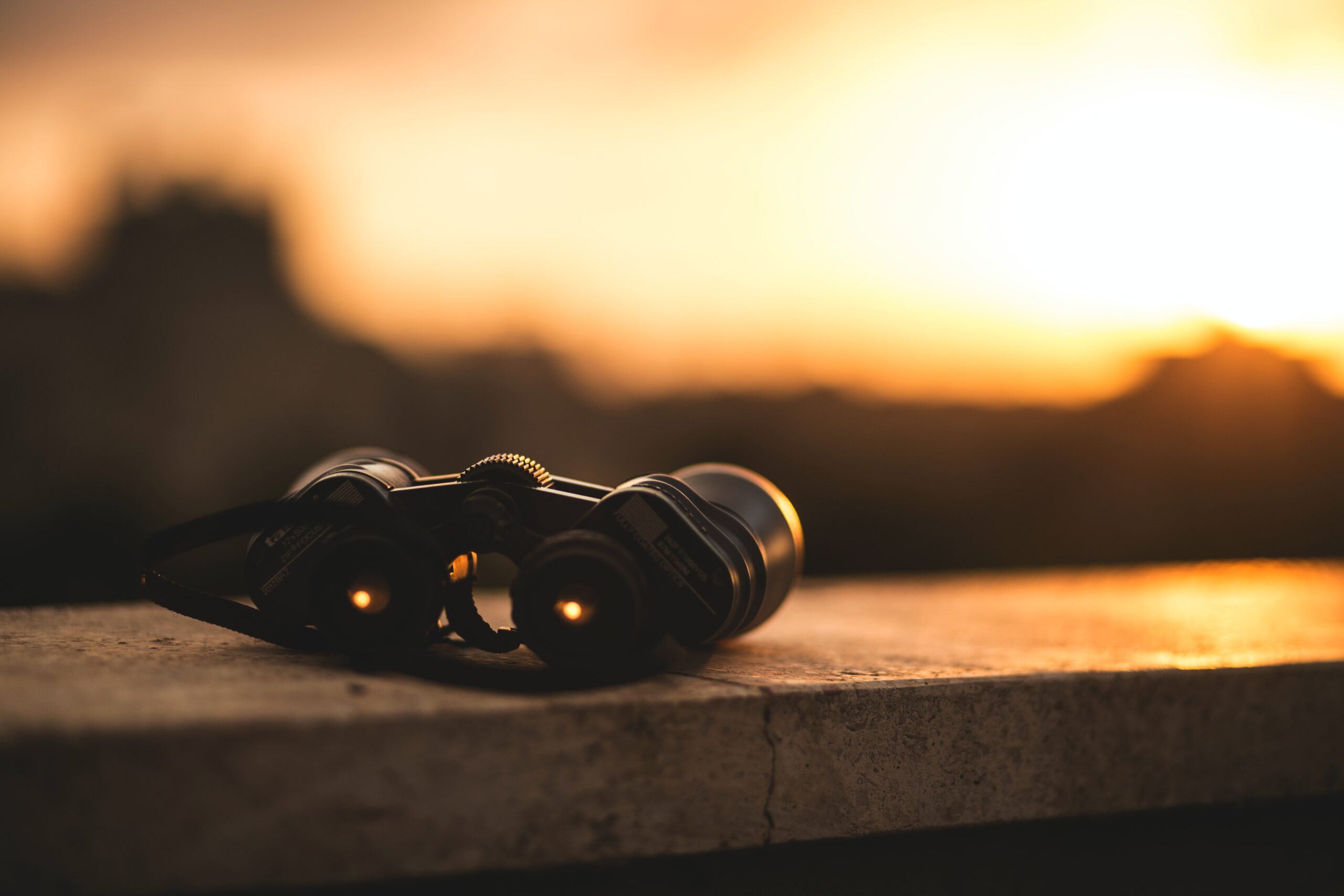 binoculars to symbolize retail predictions